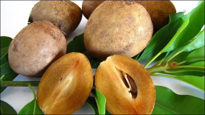 Cách Ủ Hồng Trứng Nhanh Chín: 5 Phương Pháp Hiệu Quả Từ Chuyên Gia Ẩm Thực