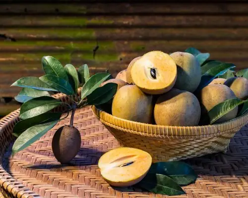 Cách Ủ Hồng Trứng Nhanh Chín: 5 Phương Pháp Hiệu Quả Từ Chuyên Gia Ẩm Thực