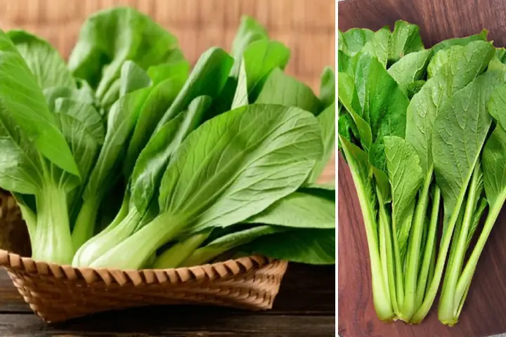 Cải Thìa Và Cải Ngọt: Phân Biệt, Công Dụng Và Cách Trồng Hiệu Quả