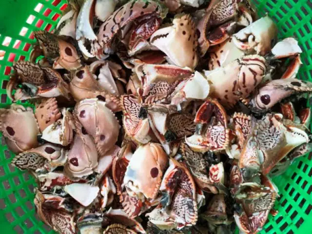 Càng Cúm Là Con Gì? Nguồn Gốc, Ý Nghĩa Và Cách Chế Biến Món Ngon
