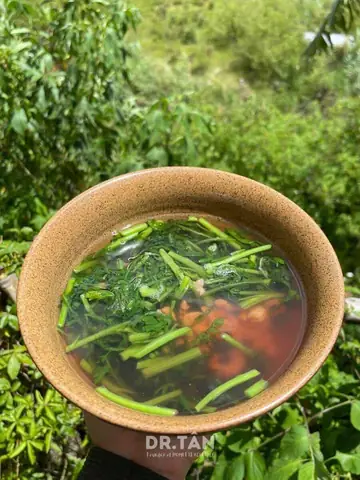 Cách Nấu Canh Tần Ô Với Tôm Khô Thơm Ngon Bổ Dưỡng