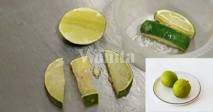 Các Cách Bảo Quản Chanh (limau) Nipis Tươi Lâu Và Giữ Được Hương Vị Tốt Nhất Các Cách Bảo Quản Chanh (limau) Nipis Tươi Lâu Và Giữ Được Hương Vị Tốt Nhất