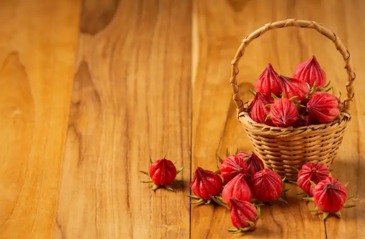 Cây Bụp Giấm Lá Đỏ: Đặc Điểm, Công Dụng Và Cách Trồng Chi Tiết