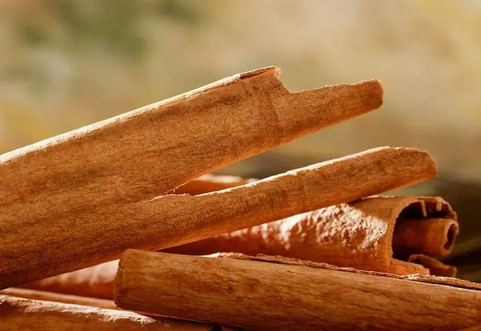 Cây Quế Nấu Canh Chua: Bí Quyết Tạo Nên Hương Vị Đặc Trưng Không Thể Thiếu