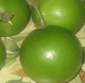 Cây Quế Nấu Canh Chua: Bí Quyết Tạo Nên Hương Vị Đặc Trưng Không Thể Thiếu