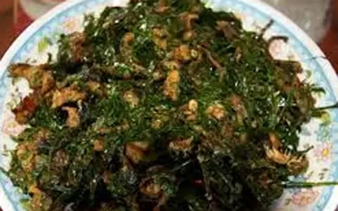 Cây Rau Mui Bông Vàng: Nguồn Gốc, Công Dụng Và Hướng Dẫn Chăm Sóc Chi Tiết