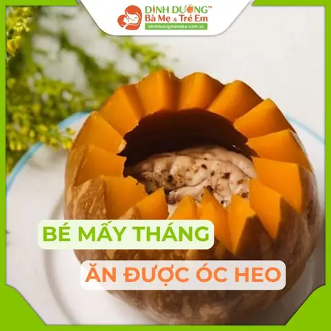 Cháo Óc Heo Cho Bé Có Tốt Không? Giải Đáp Chi Tiết Và Hướng Dẫn Cách Dùng An Toàn