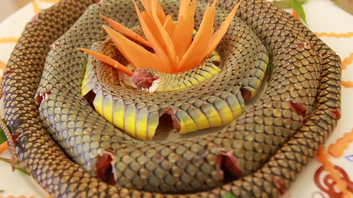 Cháo Rắn Cho Bé Ăn Dặm: Lợi Ích, Rủi Ro Và Hướng Dẫn Chế Biến An Toàn