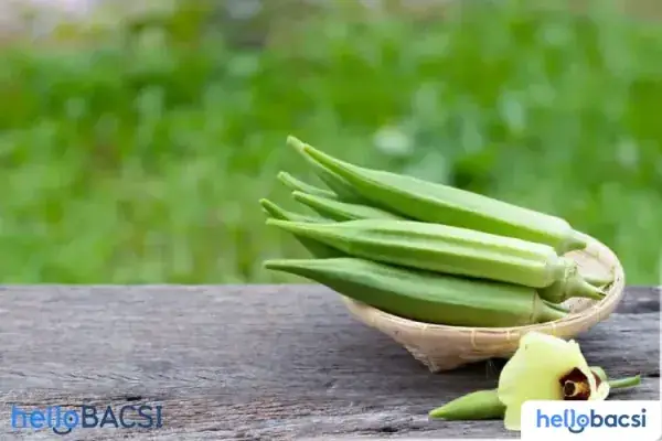 Chảo Thịt Bò Đậu Bắp Cho Bé: Hướng Dẫn Chi Tiết Từ A-z