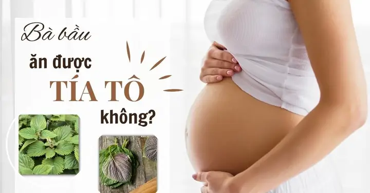 Cháo Tía Tô Giải Cảm Cho Bà Bầu: Hướng Dẫn Chi Tiết Và Lưu Ý Quan Trọng