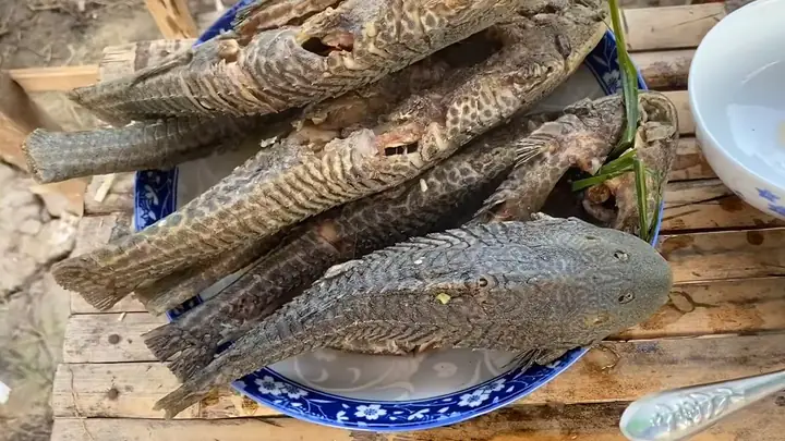 Cách Chế Biến Cá Lau Kiếng Thơm Ngon, Chuẩn Vị Miền Tây