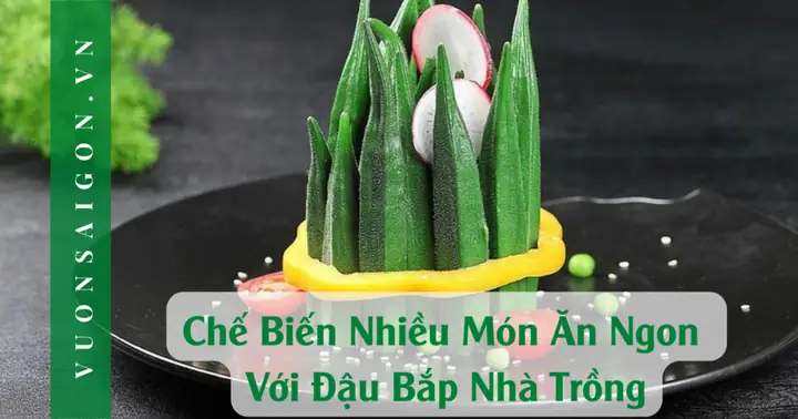 10+ Cách Chế Biến Đậu Bắp Ngon, Đơn Giản, Dễ Làm Tại Nhà 10+ Cách Chế Biến Đậu Bắp Ngon, Đơn Giản, Dễ Làm Tại Nhà
