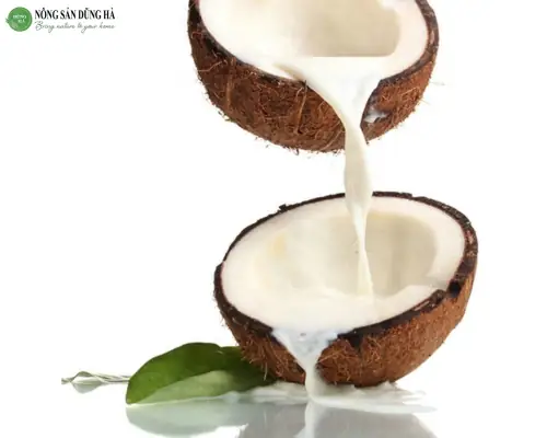 Đánh Giá Chi Tiết Chiếc Mỏng Nước Cốt Dừa: Lợi Ích, Công Dụng Và Top Sản Phẩm Đáng Mua Nhất Đánh Giá Chi Tiết Chiếc Mỏng Nước Cốt Dừa: Lợi Ích, Công Dụng Và Top Sản Phẩm Đáng Mua Nhất