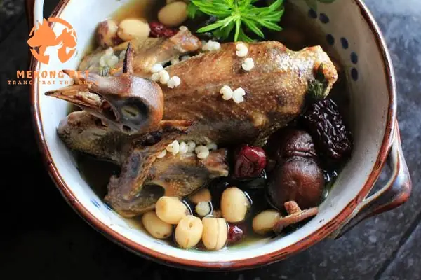 Đánh Giá Chi Tiết Chim Trĩ Hầm Thuốc Bắc: Top 3 Cách Nấu Chuẩn Vị Và Bổ Dưỡng Nhất