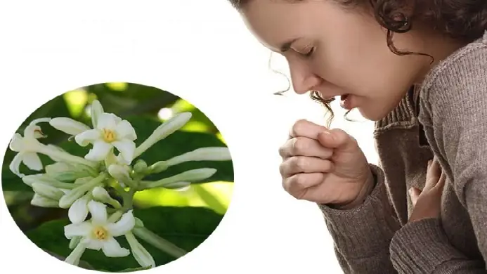 Chữa Ho Bằng Đu Đủ Chín: Các Bước Chuẩn Bị, Cách Dùng Hiệu Quả