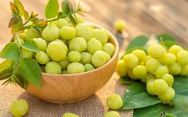 Chùm Ruột Ngâm Đường Phèn Có Tác Dụng Gì Và Trị Bệnh Gì?