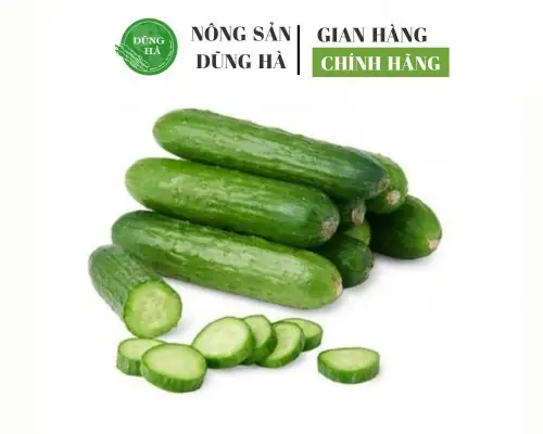 Chuột Bao Tử Là Gì? Tìm Hiểu Chi Tiết Về Loài Chuột Nhỏ Bé Này