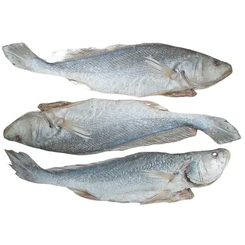 Top 10+ Món Cơm Chiên Cá Mặn Giao Tận Nơi Ngon, Chất Lượng Nhất Hiện Nay