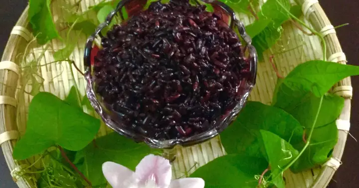 Top 10 Quán Cơm Rượu Ngon Ở Sài Gòn: Review Chi Tiết Từ Thực Khách