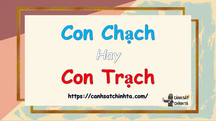 Con Chạch Hay Con Trạch: Phân Biệt Chi Tiết Và Cách Chế Biến Dân Dã Con Chạch Hay Con Trạch: Phân Biệt Chi Tiết Và Cách Chế Biến Dân Dã