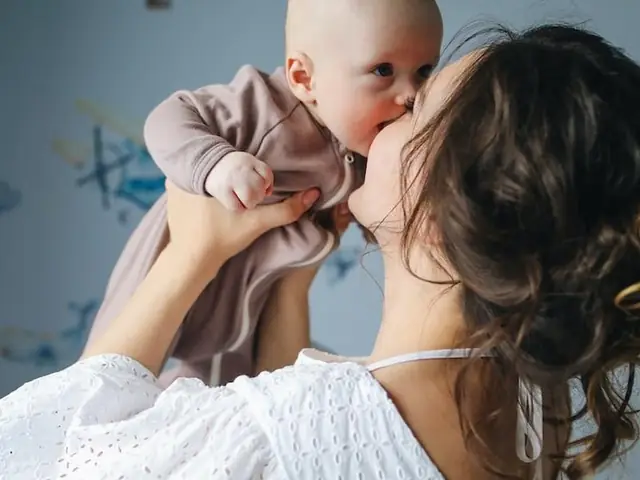 Con Ngao Tiếng Anh Là Gì? Giải Đáp Chi Tiết Từ A-z Cho Tên Gọi Của Từng Dòng Chó Này