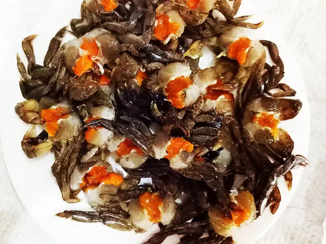 Con Rạm Là Con Gì? Nguồn Gốc, Đặc Điểm Và Những Công Dụng Bất Ngờ Con Rạm Là Con Gì? Nguồn Gốc, Đặc Điểm Và Những Công Dụng Bất Ngờ
