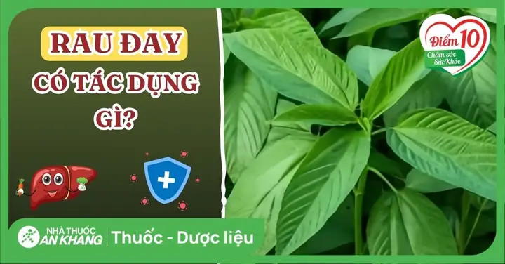 Công Dụng Của Rau Dền: Lợi Ích Dinh Dưỡng Và Hướng Dẫn Sử Dụng Đúng Cách