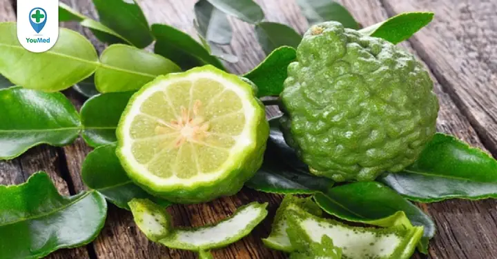 Khám Phá Công Dụng Của Trái Chúc Trong Đời Sống Và Y Học Khám Phá Công Dụng Của Trái Chúc Trong Đời Sống Và Y Học