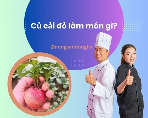 10+ Cách Chế Biến Củ Cải Đỏ Ngon, Dinh Dưỡng Cho Gia Đình