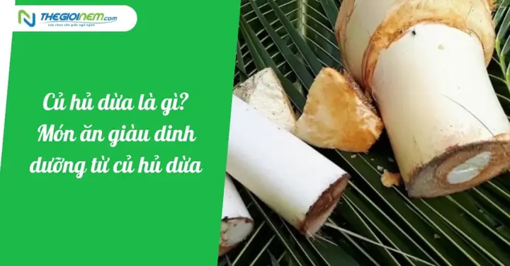 Củ Hũ Dừa Là Gì? Nguồn Gốc, Công Dụng Và Giá Trị Dinh Dưỡng