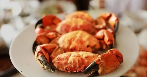 Cù Kỳ Là Con Gì? Nguồn Gốc, Đặc Điểm Và Tác Dụng Khi Nấu Ăn