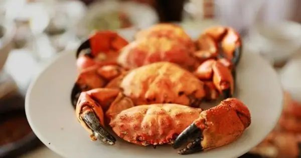 Cù Kỳ Là Con Gì? Nguồn Gốc, Đặc Điểm Và Tác Dụng Khi Nấu Ăn