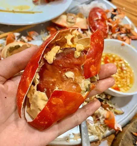 Cù Kỳ Là Con Gì? Nguồn Gốc, Đặc Điểm Và Tác Dụng Khi Nấu Ăn