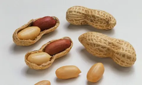 Củ Lạc Tiên Ngâm Đường Phèn: Công Thức, Tác Dụng Và Cách Dùng Đúng Chuẩn