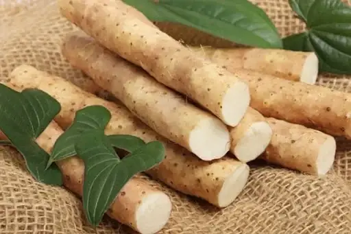 Củ Mài Và Củ Từ: Phân Biệt, Công Dụng Và Cách Dùng Hiệu Quả