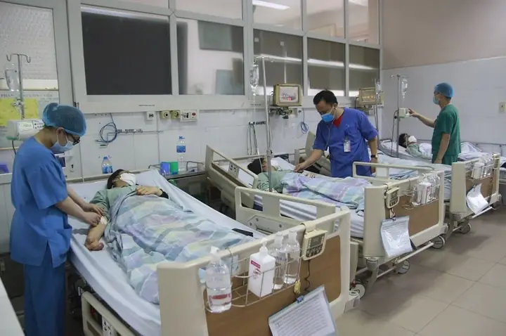 Củ Nần Là Củ Gì? Nguồn Gốc, Công Dụng Và Giá Trị Dinh Dưỡng