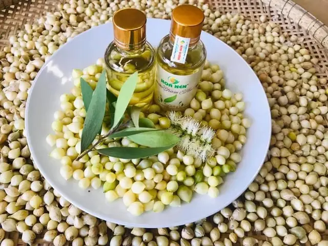 Củ Nén Có Tác Dụng Gì Trong Đời Sống Và Y Học?