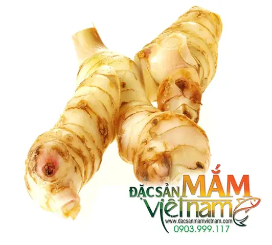 Tác Dụng Chữa Bệnh Thần Kỳ Của Củ Riềng Và Lá Lốt Mà Bạn Chưa Biết