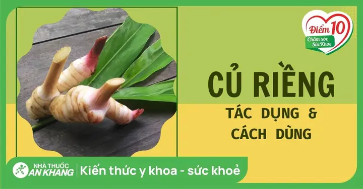 Tác Dụng Chữa Bệnh Thần Kỳ Của Củ Riềng Và Lá Lốt Mà Bạn Chưa Biết