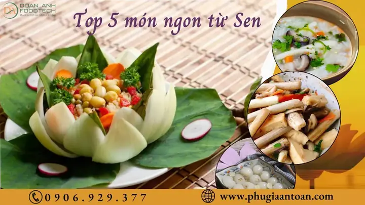Khám Phá Sâu: Củ Sen Và Ngó Sen – Từ Đặc Điểm, Giá Trị Dinh Dưỡng Đến Ứng Dụng Trong Ẩm Thực