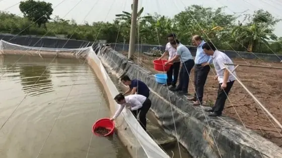 Cà Ra Thái Bình: Khám Phá Vị Ngọt Đặc Sản Đất Voi