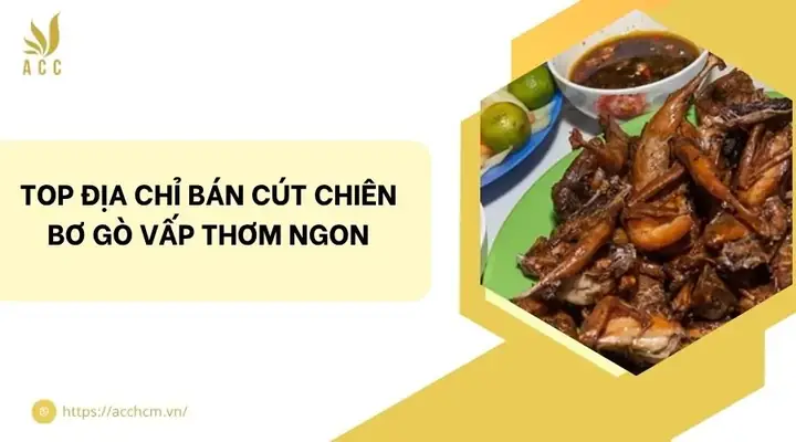 Top 10 Quán Cút Chiên Bơ Ngon, Béo Tại Gò Vấp Không Thể Bỏ Qua