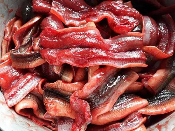 Khám Phá Vẻ Đẹp Ẩm Thực: Đặc Sản Lươn Nghệ An Nức Tiếng Miền Tây