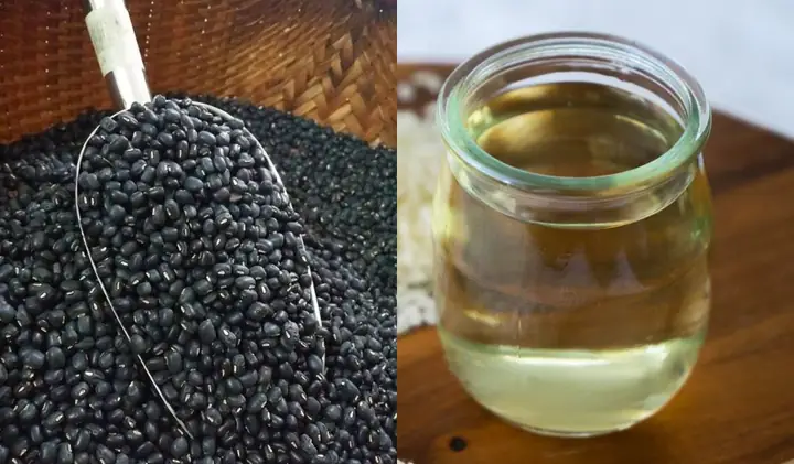 Đánh Giá Chi Tiết Các Loại Đậu Đen Xanh Lòng Ngâm Dấm