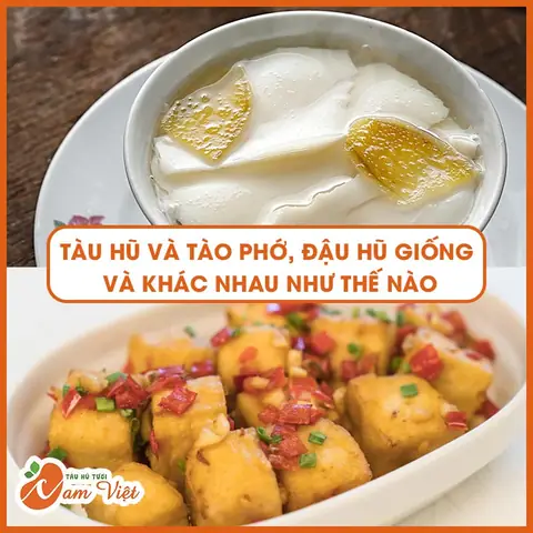 Đậu Hũ Làm Từ Gì? Khám Phá Nguyên Liệu Vàng Trong Ẩm Thực Chay