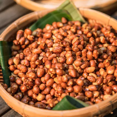 Đánh Giá Chi Tiết: Các Loại Đầu Phun Cháy Tối Ưu Cho Lò Hơi Công Nghiệp