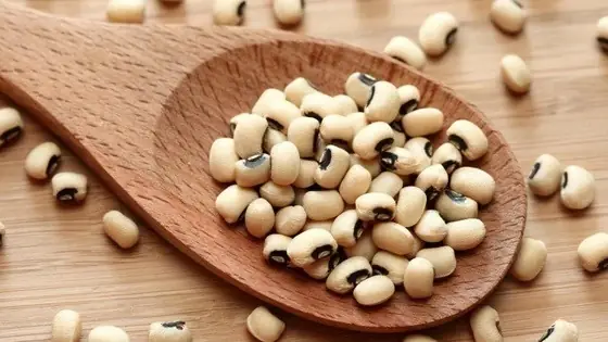 Đậu Trắng Là Đậu Gì? Nguồn Gốc, Công Dụng Và Các Món Ngon Từ Đậu Trắng