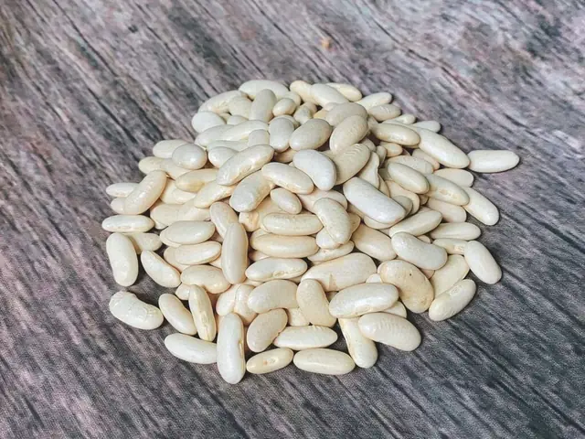 Đậu Trắng Là Đậu Gì? Nguồn Gốc, Công Dụng Và Các Món Ngon Từ Đậu Trắng