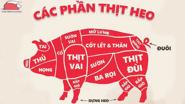 Vị Trí Của Diềm Heo Trong Bảng Mạch: Giải Đáp Chi Tiết Cho Người Mới Chơi Board Game