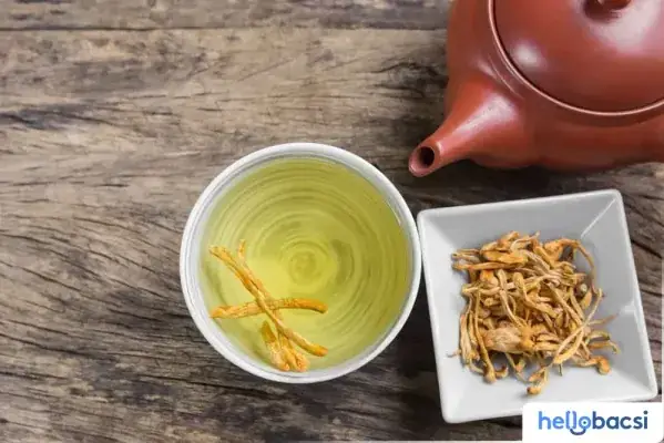 Đánh Giá Chi Tiết: Đông Trùng Hạ Thảo Tươi - Top 5 Thương Hiệu Uy Tín Nhất Hiện Nay